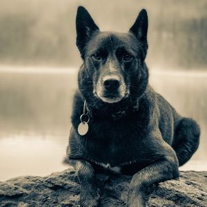 Meet your Posher, Tate